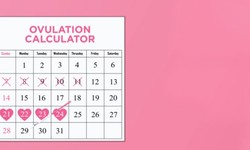 Understanding Ovulation: How to Use an Ovulation Calculator