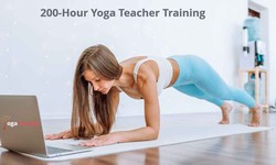 How to Choose the Right Online Yoga Teacher Training Program?