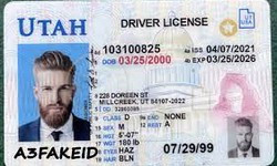 Bypassing Boundaries: The Allure of Utah Fake IDs