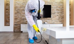 Eco-Friendly Practices for Your Pest Control Business