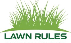 Bow and Arrow Herbicide: An In-Depth Guide