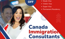 Expert Guidance: Choosing the Right Canada Immigration Consultants