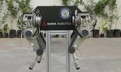 Embracing the Future: The Rise of Quadruped Robots in Industrys