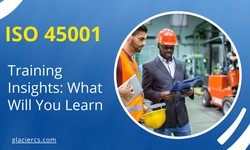 ISO 45001 Training Insights: What Will You Learn