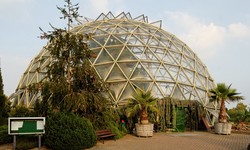 Top 7 Must-Have Features When Shopping for Greenhouses for Sale