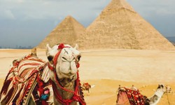 From Sharm el-Sheikh to the Pyramids: An Egyptian Odyssey |Know about Sharm el-Sheikh’s Charm