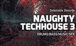 Naughty TechHouse 3 (Sample Packs) - Unleash the Playful Tech House Vibes!