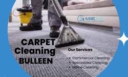 "Sustainable Solutions: The Evolution of Carpet Cleaning Techniques in Bulleen"
