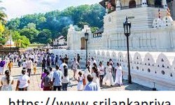 Private Car with Driver Sri Lanka
