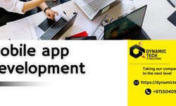 Exploring the World of App Developer Program