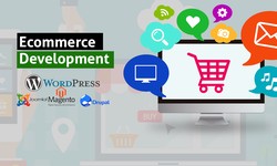 The Evolution of Shopping: What Today’s E-Commerce Development Companies Offer
