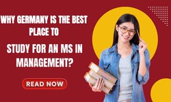 Why Germany is the Best Place to Study for an MS in Management?