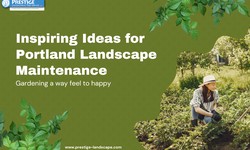 Inspiring Ideas for Portland Landscape Maintenance