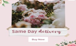 Place an Online Flower Order | Same-Day Flower Delivery in New Zealand