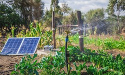 Enhancing Your Water Supply: Solar Borehole Pumps