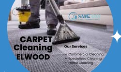 "The Evolution of Green Cleaning: Sustainable Practices in Carpet Cleaning Elwood"