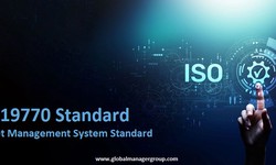 What does the ISO 19770 IT Asset Management System Standard Offer?