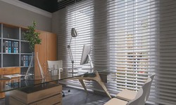 Curtains vs Blinds: Which Is the Best Option for Your Home?