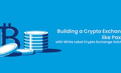 Building a Crypto Exchange like Paxful with White Label Crypto Exchange Solutions