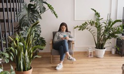 10 Houseplants That Improve Your Indoor Air Quality