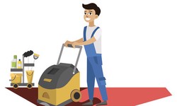 Benefits of Hiring Professional Carpet Cleaning in Clayfield