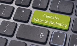 Crafting Exceptional Marijuana and Dispensary Website Design in Kelowna