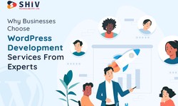 Why Businesses Choose WordPress Development Services From Experts