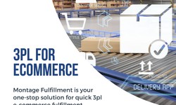A Brief Overview of Montage Fulfillment's Tailored Solutions