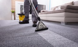 The Carpet Connoisseur: Mastering the Art of Spotless Floors