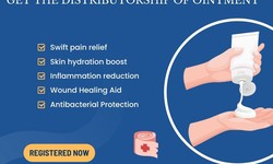 How can I find an ointment distributor that is right for my business?