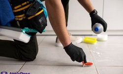 Keeping Your Bay Area Home Healthy with Crawl Space Cleaning Services