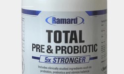 Benefits of Supplementing with Complete Probiotics and Prebiotics