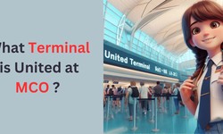 MCO United Terminal +1-800- 864-8331