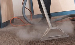 Stain Busters: The Homeowner's Handbook for Immaculate Carpets