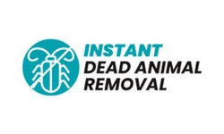 The Risks of Improper Dead Animal Disposal