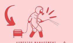 Asbestos Management in New Zealand: An Asbestos Survey