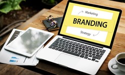 Unlocking Brand Potential: The Role of a Creative Branding Agency in Chandigarh