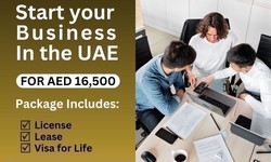 Start a Business in Dubai  +971504584059