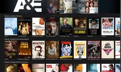 The Best Documentaries