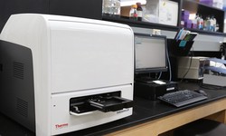 Unlocking Precision in Scientific Analysis with Multimode Microplate Readers