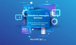 Synthesising Success: A Deep Dive into Salesforce Managed Services Excellence for Business Brilliance with VALiNTRY360