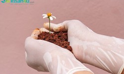 From Roots to Blooms: Mastering Organic Flower Fertilization in Container Gardens