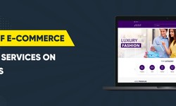 The Impact of E-commerce Development Services on Your Business
