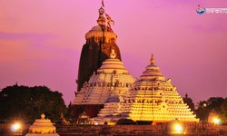 Explore the Best of Puri: A Travel Guide for Adventurers