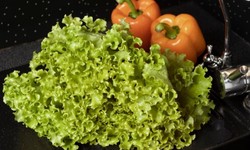 Innovations in Food Safety: How Ozone-Washed Vegetables Are Redefining Produce Standards