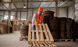 Revitalize and Optimize: Choosing the Right Warehouse Renovation Contractor in Atlanta