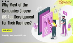 iOS App Development : The Ultimate Guide