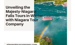 Unveiling the Majesty-Niagara Falls Tours in Winter with Niagara Tour Company