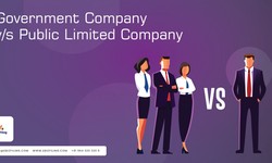 Difference Between Public Limited Company and Government Company
