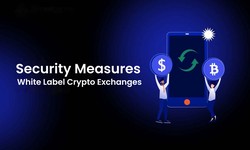 Unveiling the Security Measures of White Label Crypto Exchanges: A Comprehensive Guide